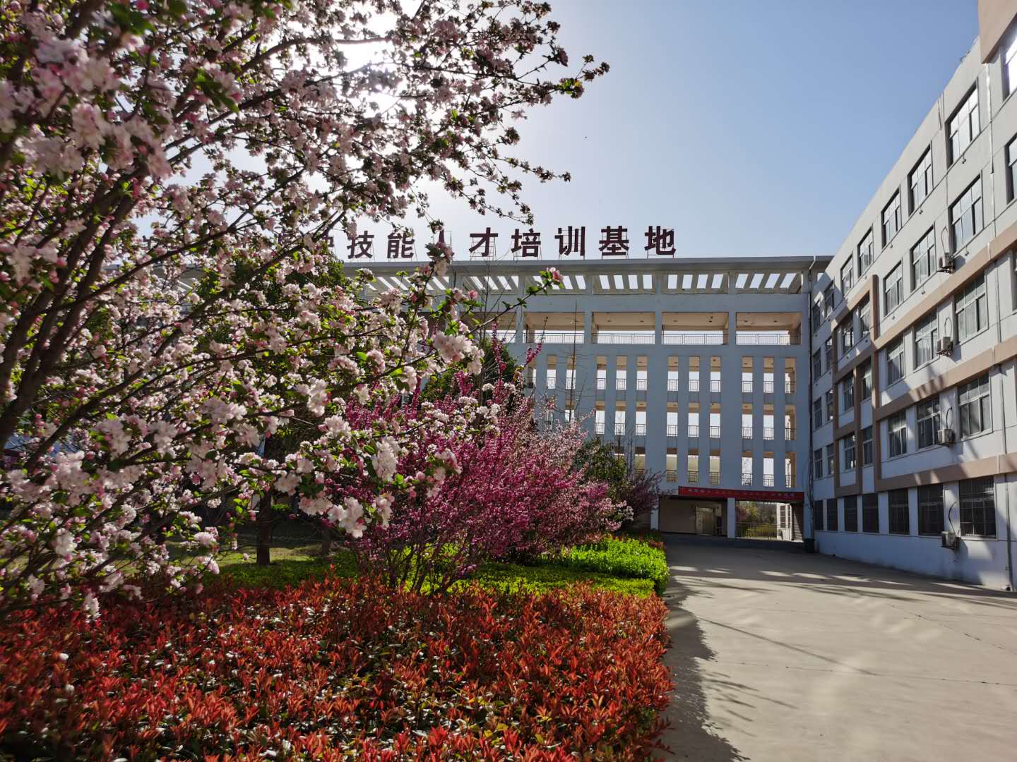 谈球吧体育app下载