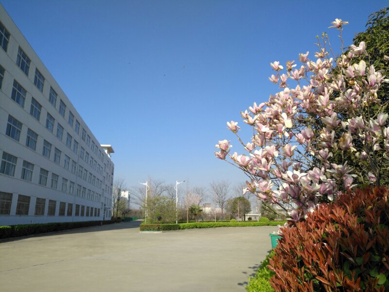谈球吧体育app下载